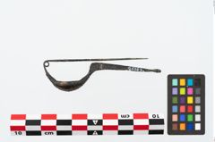Foto von Bronzekahnfibel (NHMW-PRAE-025662)